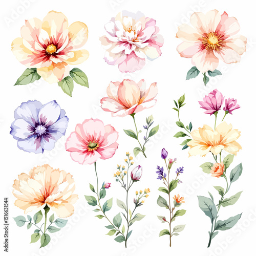 Set of watercolor flowers on white background, Set watercolor Flowers Clipart