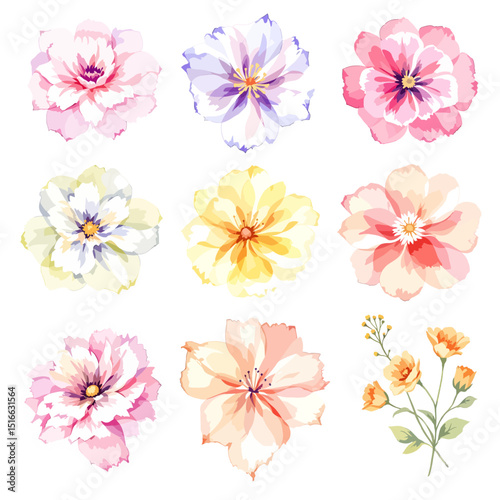 Set of watercolor flowers on white background, Set watercolor Flowers Clipart