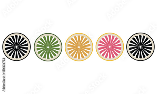Citrus fruits cross sections icons