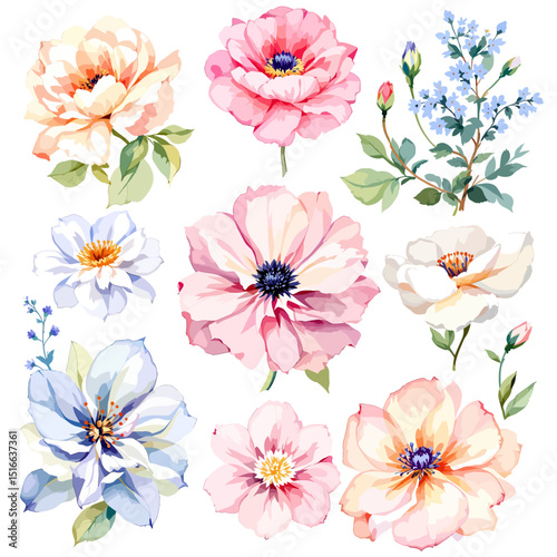  Set of watercolor flowers on white background, Set watercolor Flowers Clipart