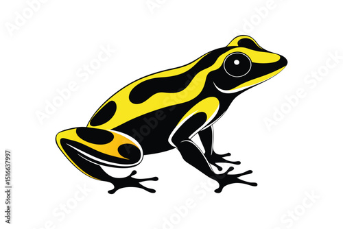 frog isolated on white background