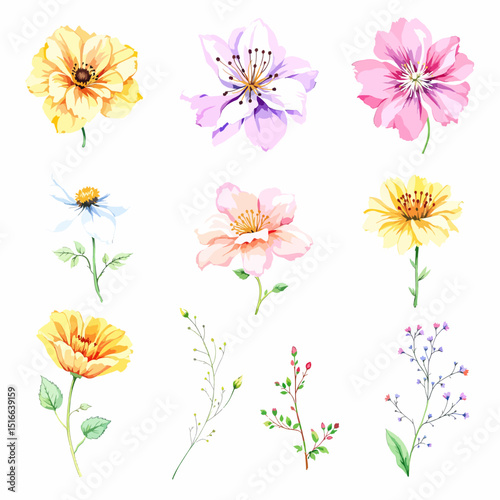Set of watercolor abstract flowers on white background, wildflower clipart vector for graphic resources