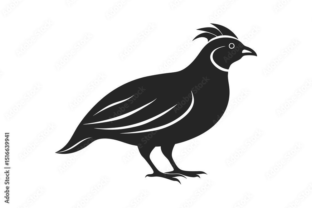 Fototapeta premium Quail bird silhouette black style with white background