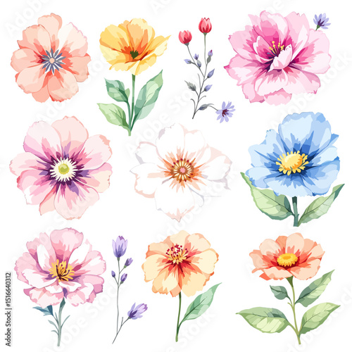Set watercolor abstract Flowers Clipart, Beautiful floral bouquet illustrations set with watercolor hand drawn flowers