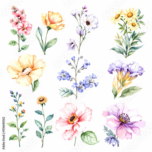 Set watercolor abstract Flowers Clipart, Beautiful floral bouquet illustrations set with watercolor hand drawn flowers