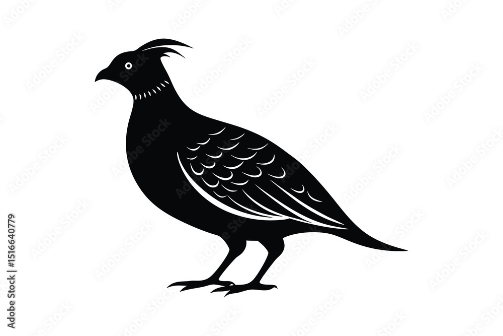 Fototapeta premium A silhouette vector illustration of quail bird on white background