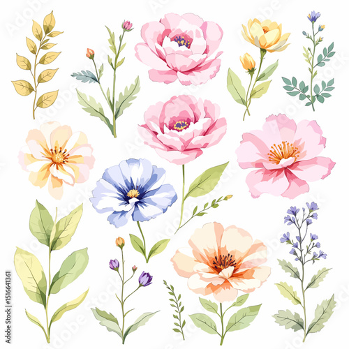 Set watercolor Flowers Clipart