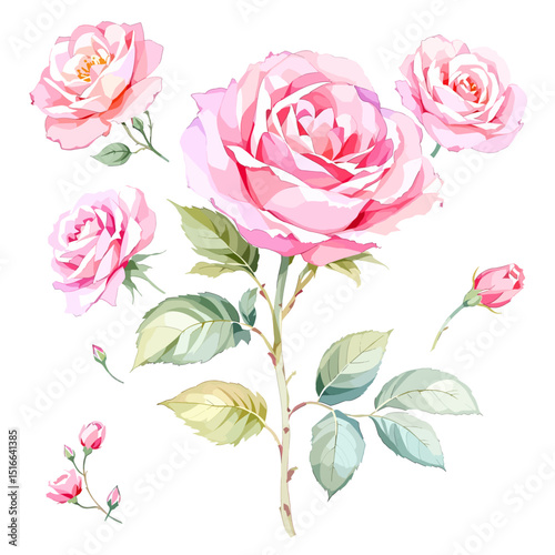 Set of watercolor Pink red flowers on white background, Set watercolor Flowers Clipart