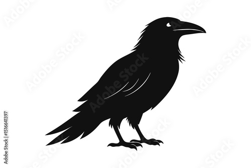 raven silhouette vector illustration on white background