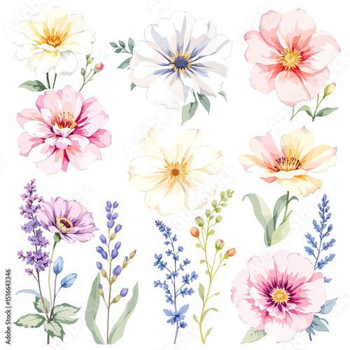 Set of watercolor flowers on white background
