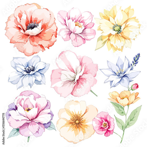 Watercolor floral illustration set with delicate flowers and leaves, isolated on white background