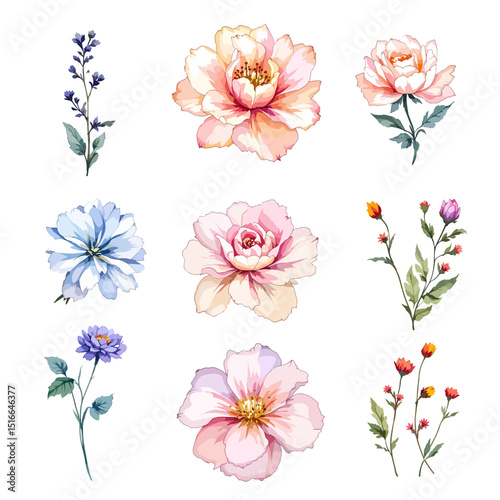 Watercolor floral illustration set with delicate flowers and leaves, isolated on white background. Soft watercolor floral bouquet set