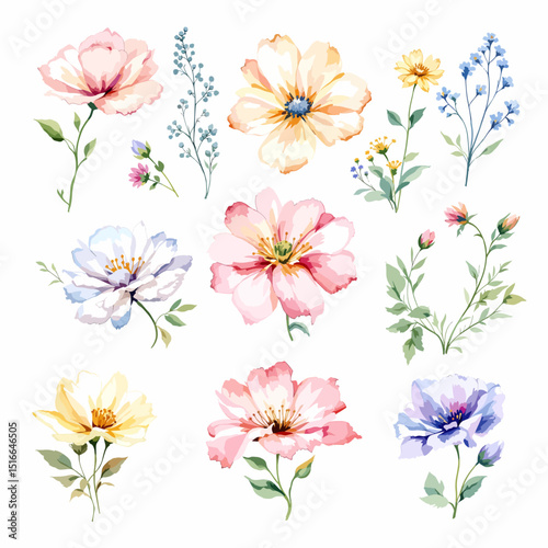 Watercolor floral illustration set with delicate flowers and leaves, isolated on white background