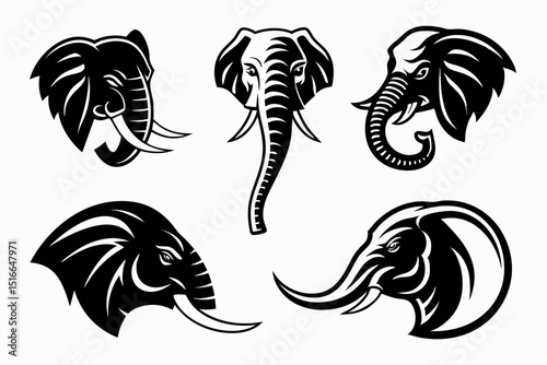 set of black and white horses