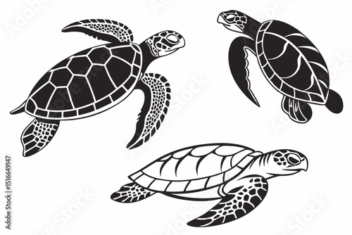 turtle