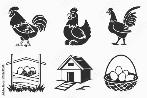 chicken