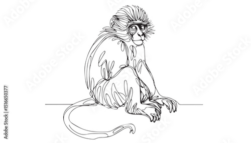 Canvas Print Continuous one single minimal line drawing Vervet monkey