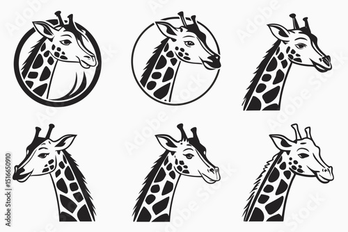 giraffe vector illustration