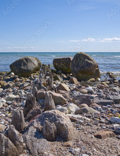 Fototapeta Naklejka Na Ścianę i Meble -  alte Buhnen am Ostseestrand