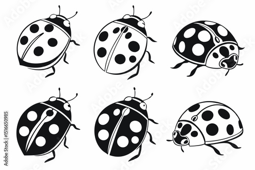 set of ladybug
