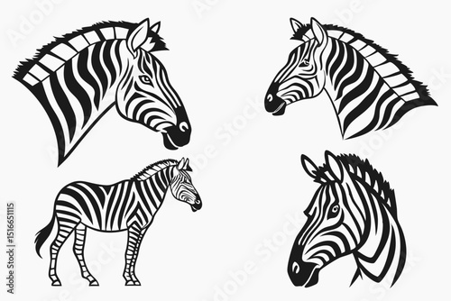 zebra vector illustration