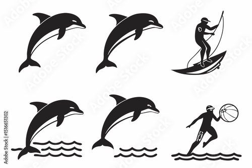 set of dolphins