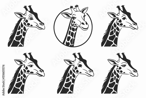 giraffe