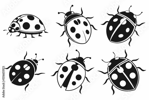set of ladybug