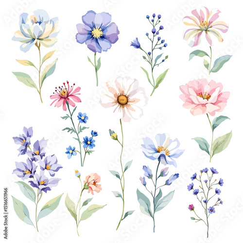 Set watercolor Flowers Clipart, Big floral illustrations set with watercolor hand drawn flowers. Stock clip art