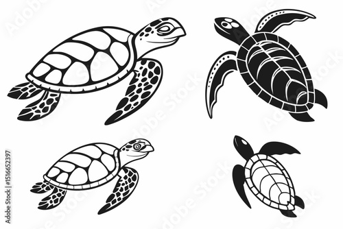 turtle