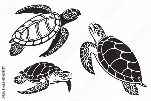 turtle
