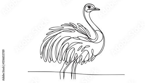 Continuous one single minimal line drawing ostrich