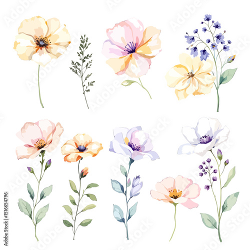 Set watercolor Flowers Clipart, Big floral illustrations set with watercolor hand drawn flowers. Stock clip art
