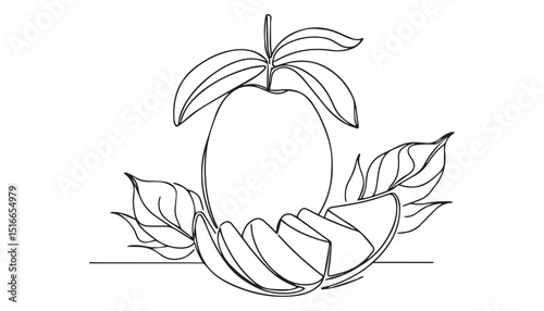 Continuous one single minimal line drawing mango fruit
