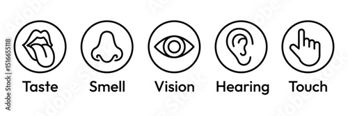 Human senses icon set. Vision eye, smell nose, hearing ear, touch hand, taste mouth with tongue. Simple line icons and black circle. Five senses of human nervous system. Vector illustration.
