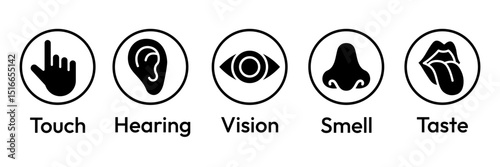 Human senses icon set. Vision eye, smell nose, hearing ear, touch hand, taste mouth with tongue. Simple line icons and black circle. Five senses of human nervous system. Vector illustration.