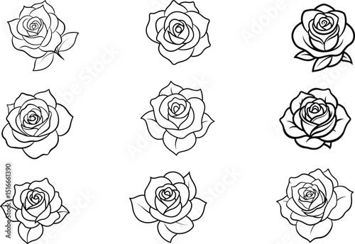Elegant Hand-Drawn Rose Illustrations Featuring Detailed Floral Artwork