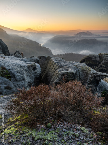 mystic morning - mystischer Morning