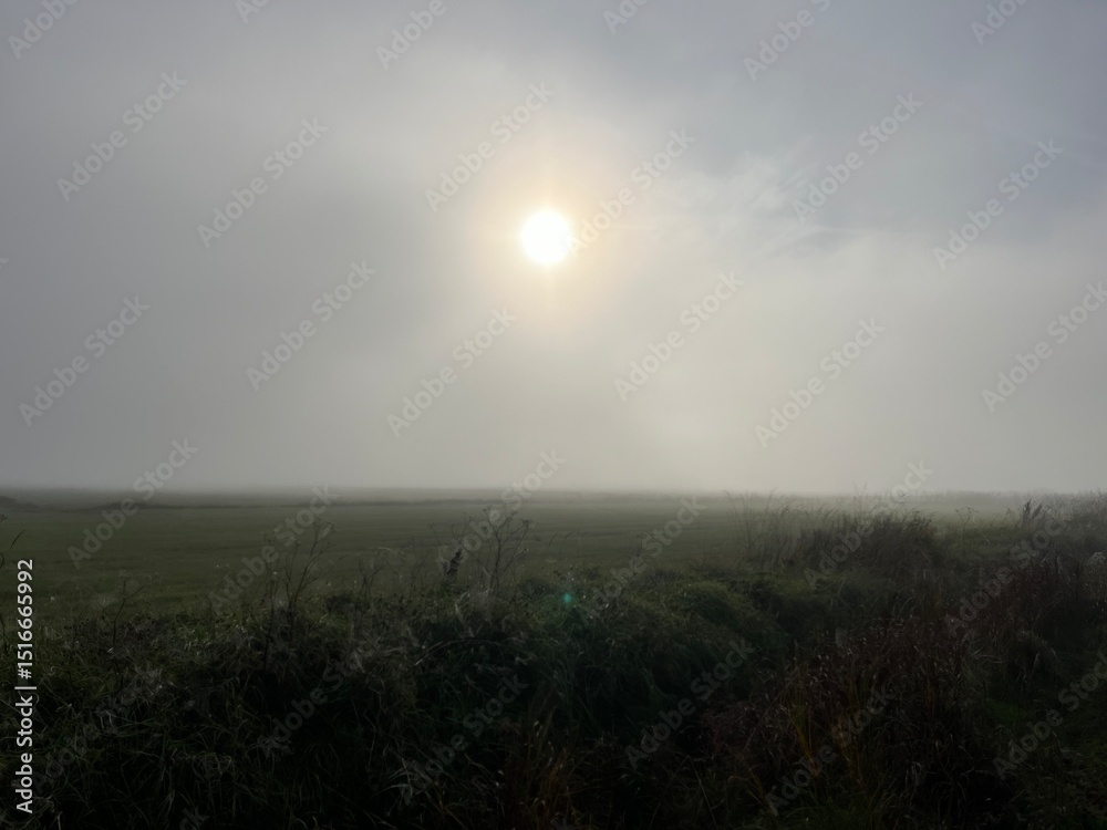 Fototapeta premium morning mist over the field