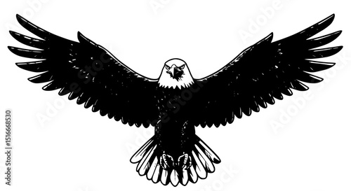 Majestic Bald Eagle in Flight Black and White Illustration