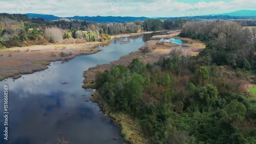 Aerial View of Lush Wetlands and Forest Landscape in Southern Chile