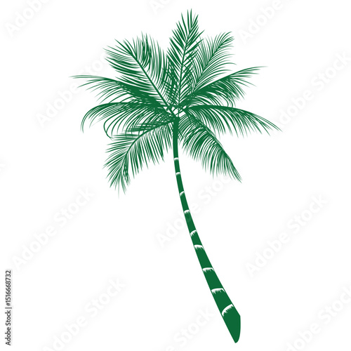 A coconut tree logo Illustration Vectore