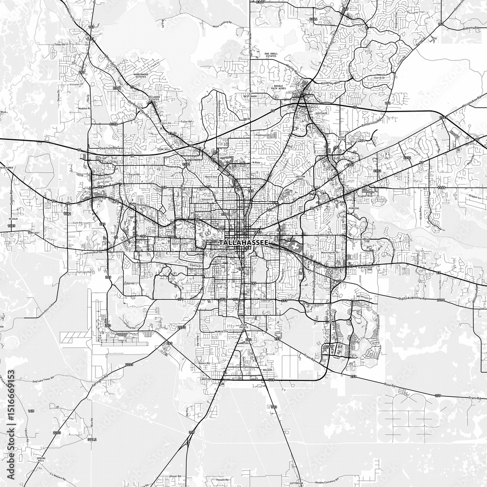 Fototapeta premium Tallahassee Area Map with Labels and Neighborhoods - One color, minimalistic design