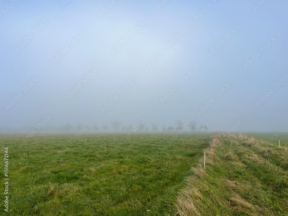 Fototapeta premium misty morning in the field