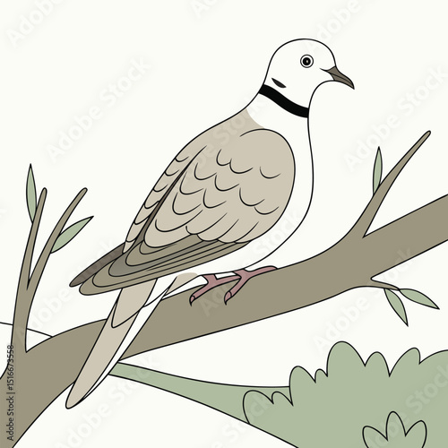 vector illustration of a bird