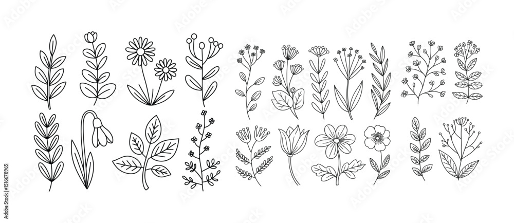 Fototapeta premium Hand-drawn Floral Line Art Set