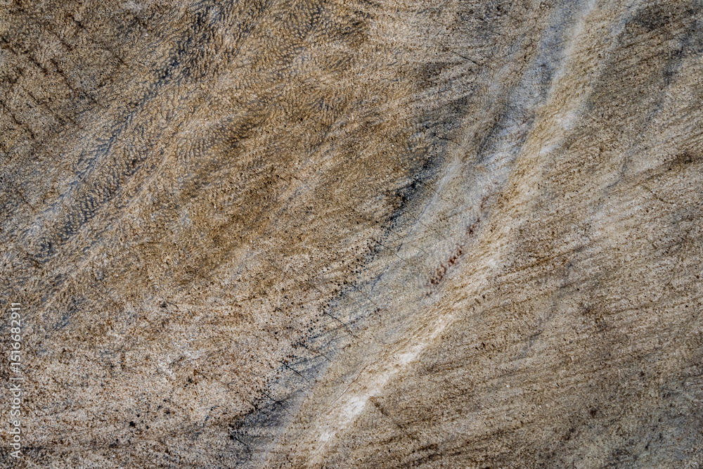 Old wooden tropical tree cut surface. Detailed warm dark brown and orange tones of a felled tree trunk or stump. Rough organic texture of tree rings with close up of end grain