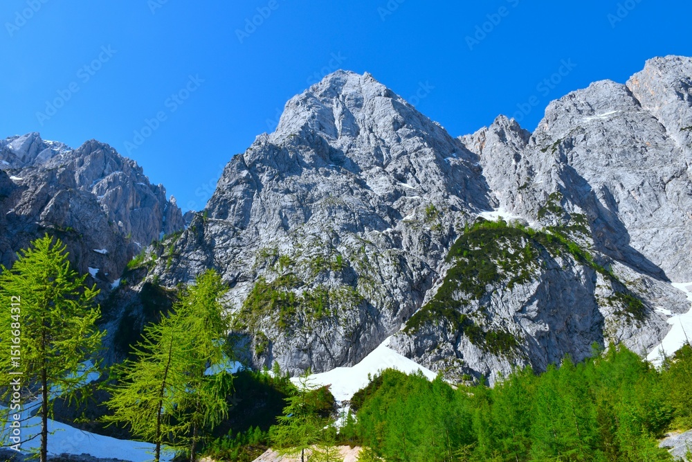 Fototapeta premium View of Špik mountain with larch (Larix decidua) trees bellow in Gorenjska, Slovenia