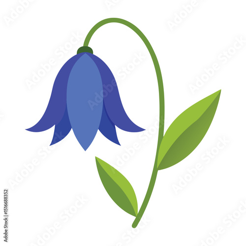 a bluebell on white background.
