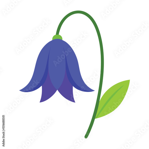 a bluebell on white background.